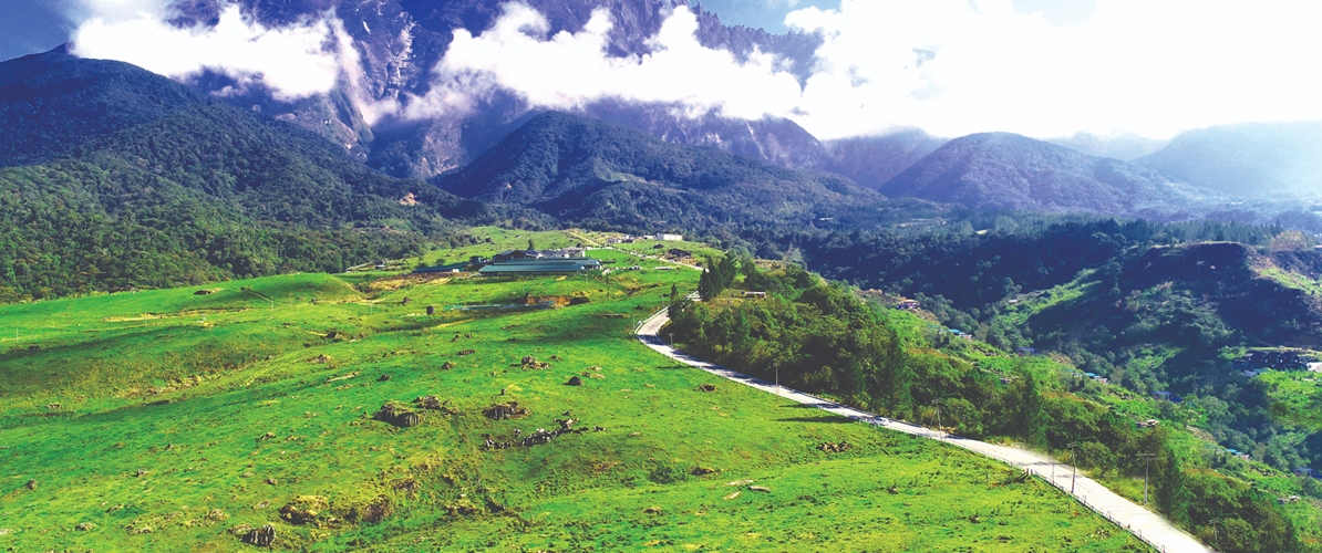 Model kereta yang disyorkan untuk perjalanan di Sabah #2