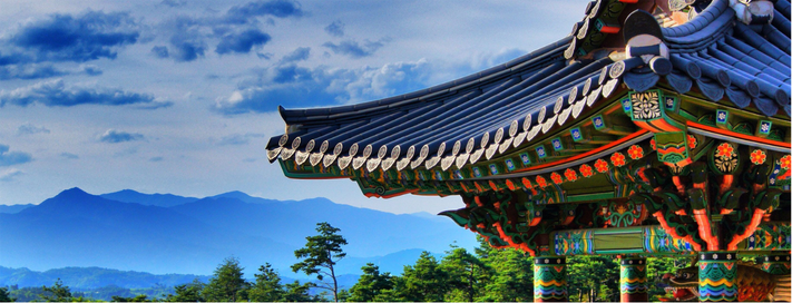 Discover Korea Summer 6D5N