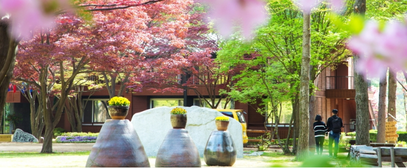 Discover Korea Spring 6D4N