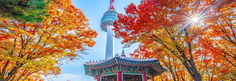 Discover Korea Autumn Seoul + Nami 5D4N