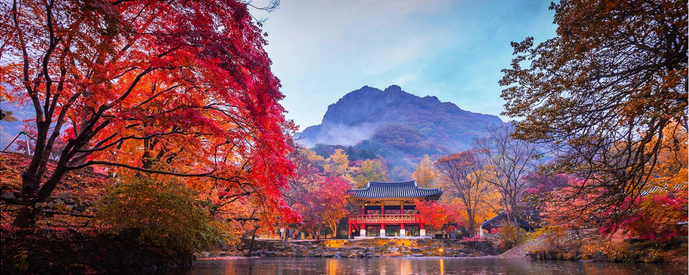 Discover Korea Autumn 6D4N