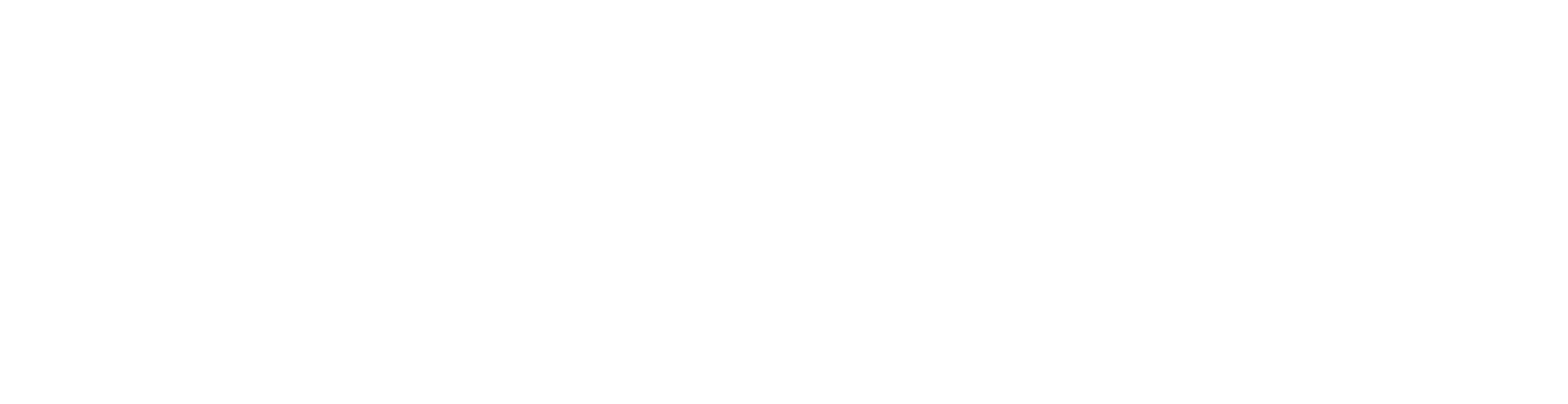 Experience The World With Us